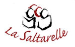 Saltarelle logo red 4x2 5